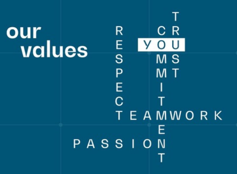 Vytech_values